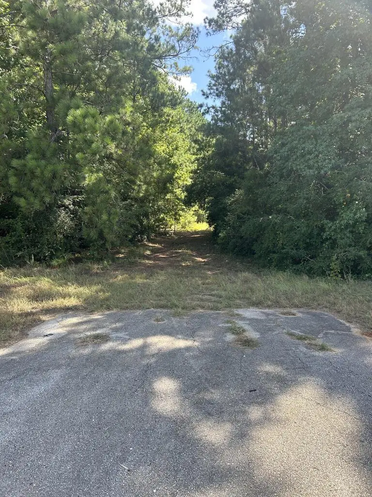PID 17614 Us Hwy 190 W, Livingston, TX 77351 - #2