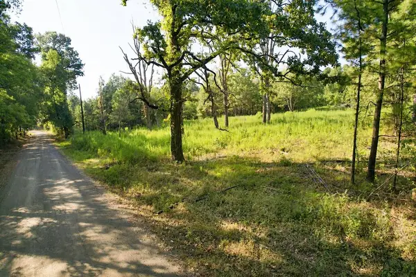 1087 Cr 318, San Augustine, TX 75925