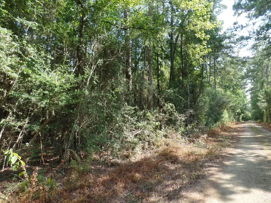 415 County Road 580, Call, TX 75933 - #3