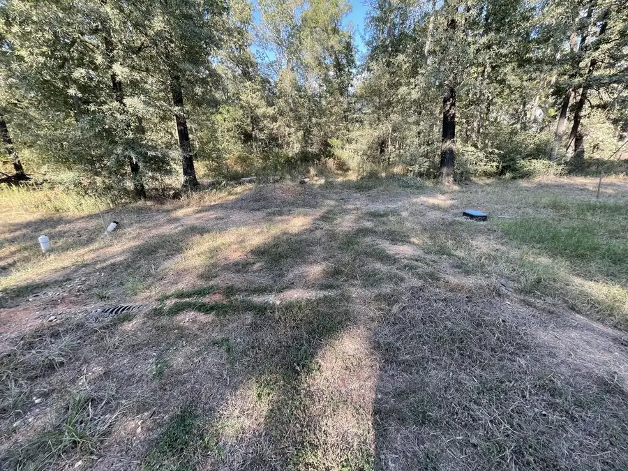 136 Forest Crest, Livingston, TX 77351 - #2
