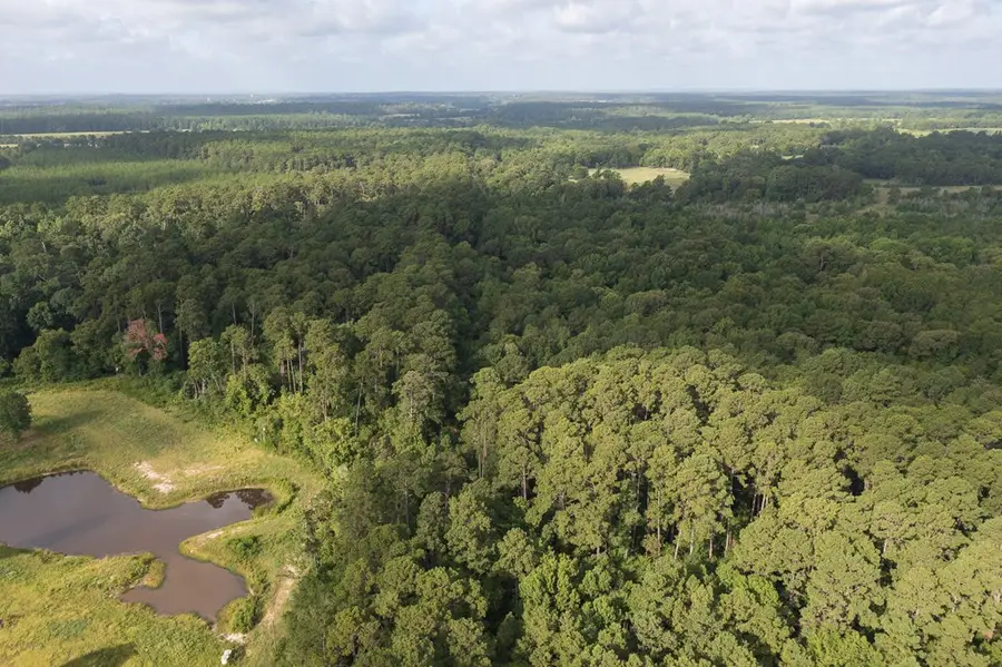 PID 33990 Fm 3317, Groveton, TX 75845 - #2