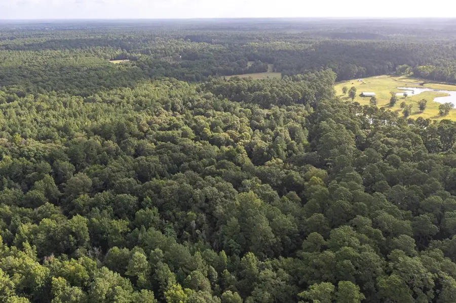 PID 33990 Fm 3317, Groveton, TX 75845 - #3