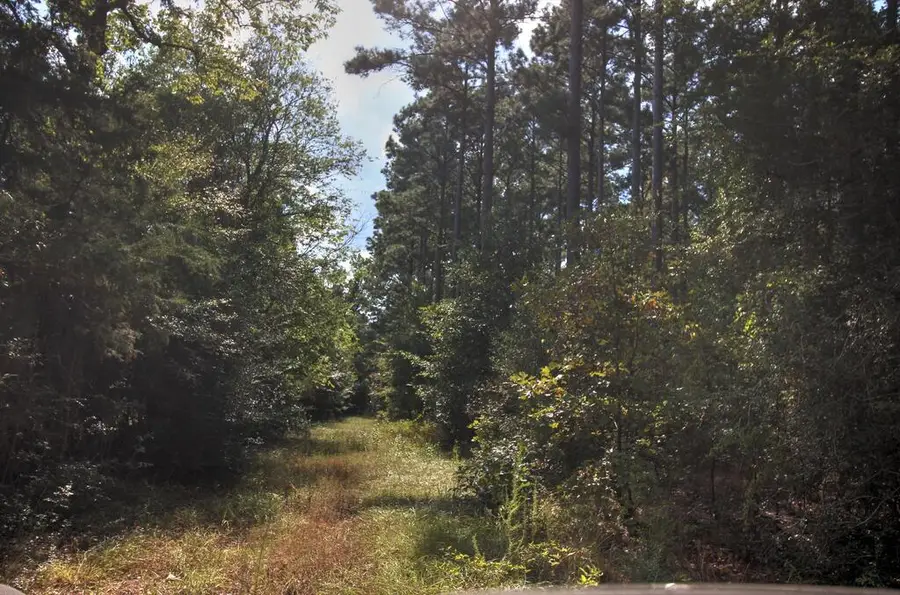 61.88 acres Cr 2920, Alto, TX 75925 - #3