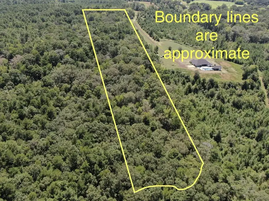 PID 30031 County Road 2919, Shelbyville, TX 75973 - #2