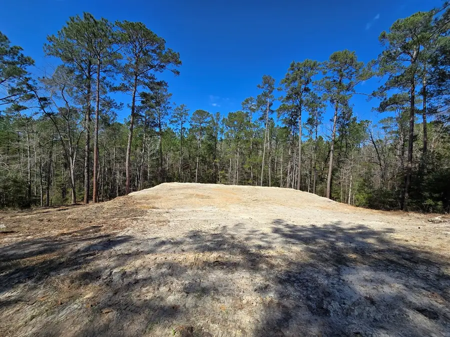 173 Red Squirrel Drive, Brookeland, TX 75931 - #3
