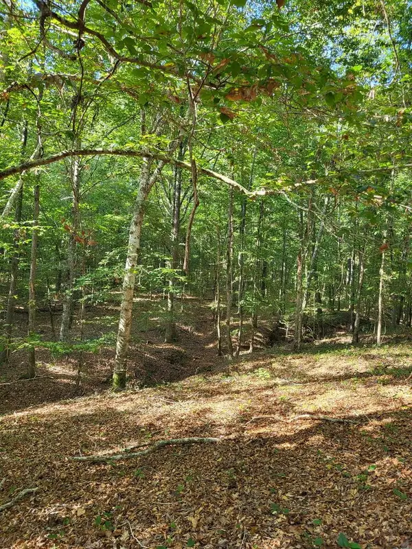 1294 Anders Rd, San Augustine, TX 75972
