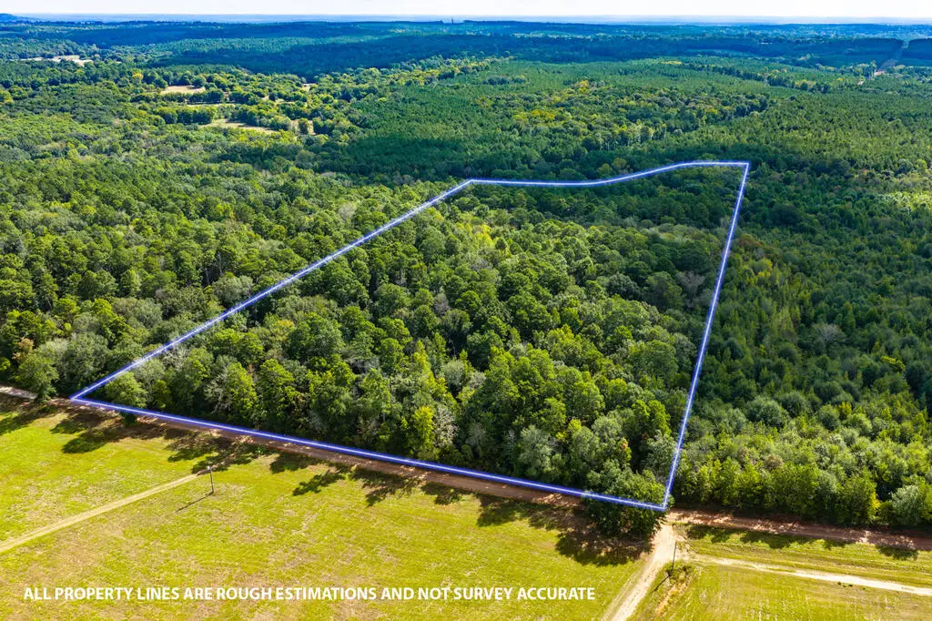 1925 Cr 425, Chireno, TX 75937 - #1