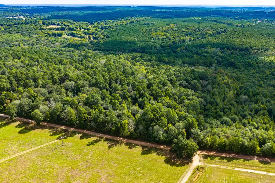 1925 Cr 425, Chireno, TX 75937 - #2