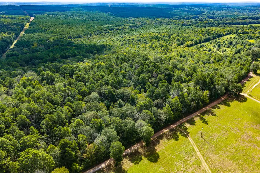 1925 Cr 425, Chireno, TX 75937 - #3