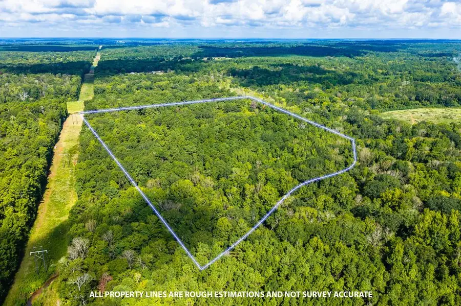 1723 Cr 425, Chireno, TX 75937 - #2