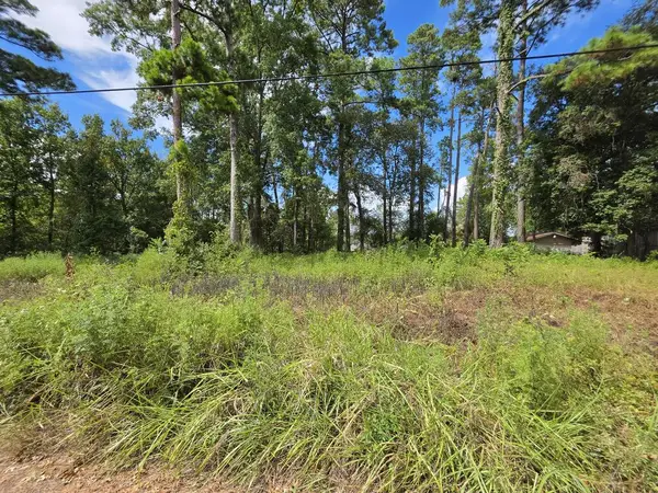 156 Lakeview Dr, Onalaska, TX 77360