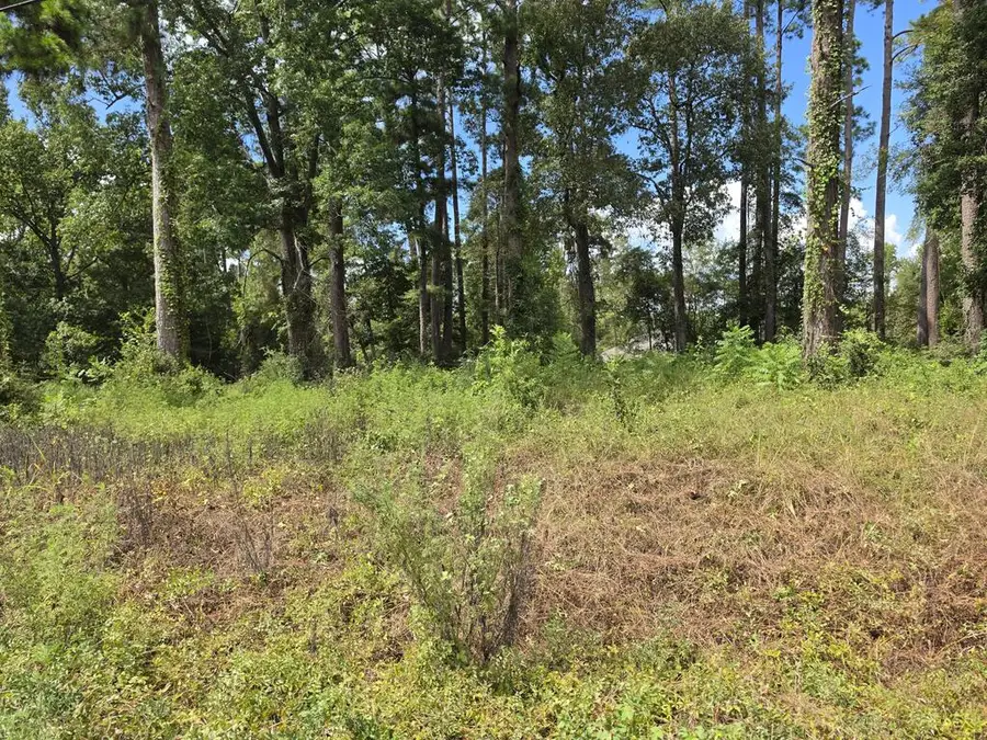 156 Lakeview Dr, Onalaska, TX 77360 - #2