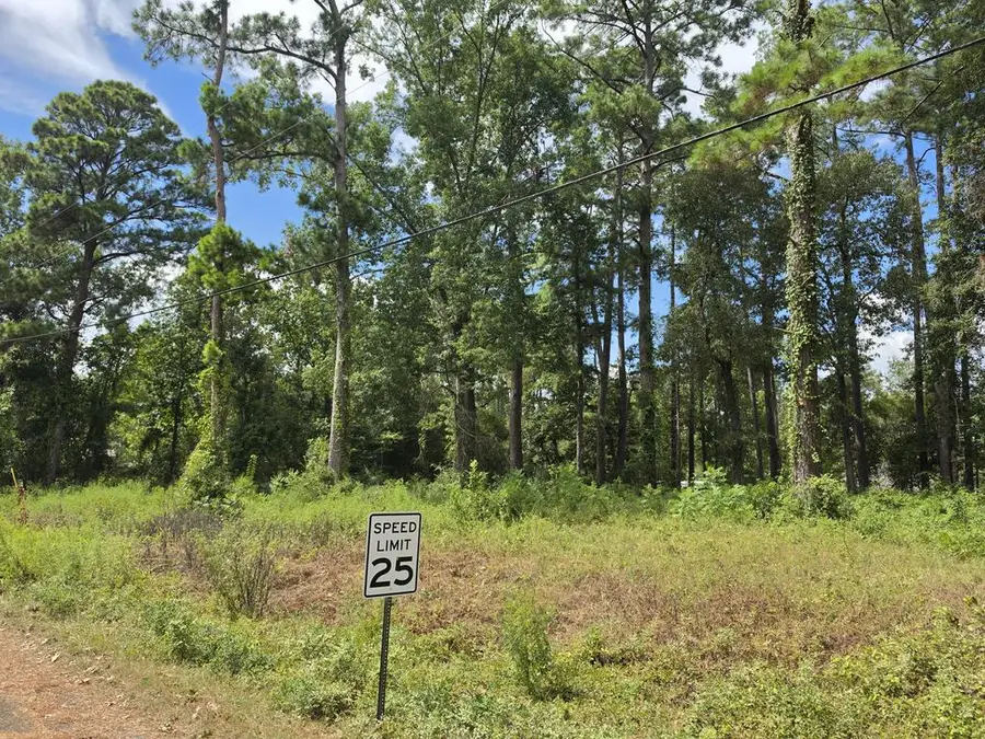 156 Lakeview Dr, Onalaska, TX 77360 - #3