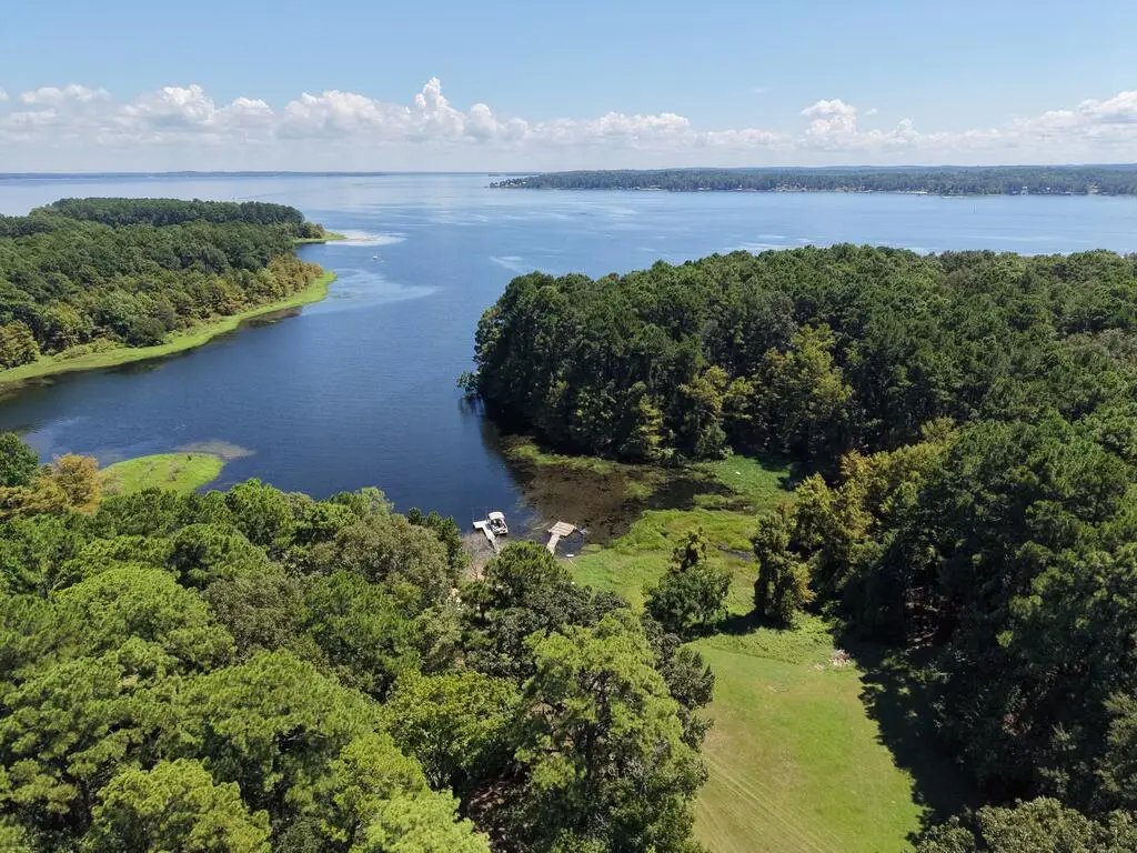 465 Timberlane Loop, Hemphill, TX 75948 - #1