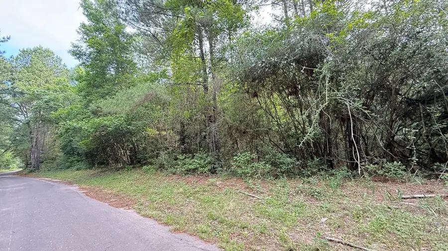R008027 County Road 20, Jasper, TX 75951 - #3