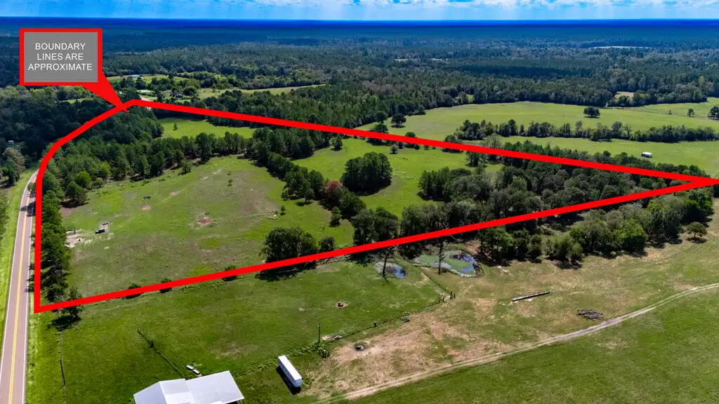 12040 Fm 2501, Apple Springs, TX 75926 - #1