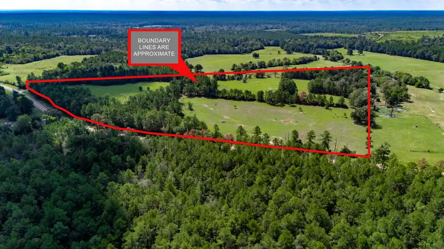 12040 Fm 2501, Apple Springs, TX 75926 - #2
