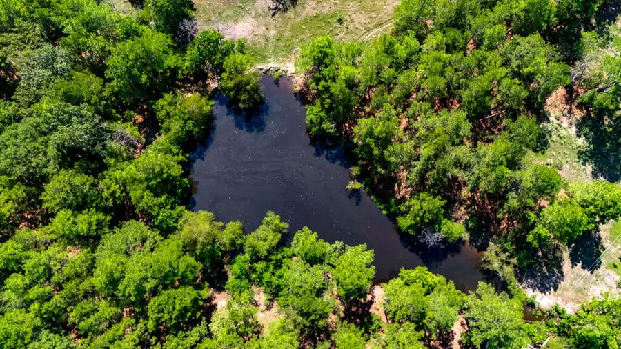 12040 Fm 2501, Apple Springs, TX 75926 - #3
