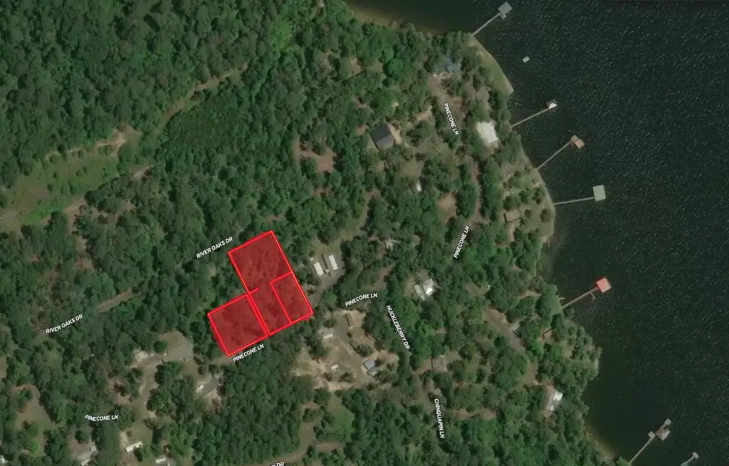 244 Pine Cone Lane, Hemphill, TX 75948 - #1