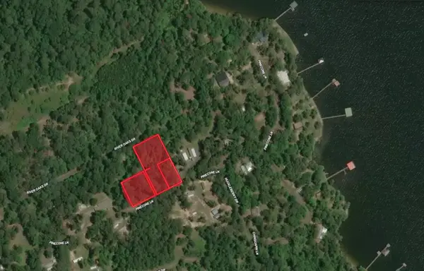 244 Pine Cone Lane, Hemphill, TX 75948