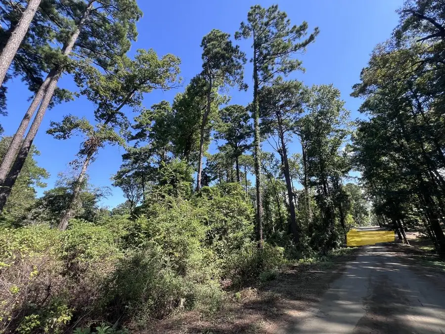 244 Pine Cone Lane, Hemphill, TX 75948 - #2