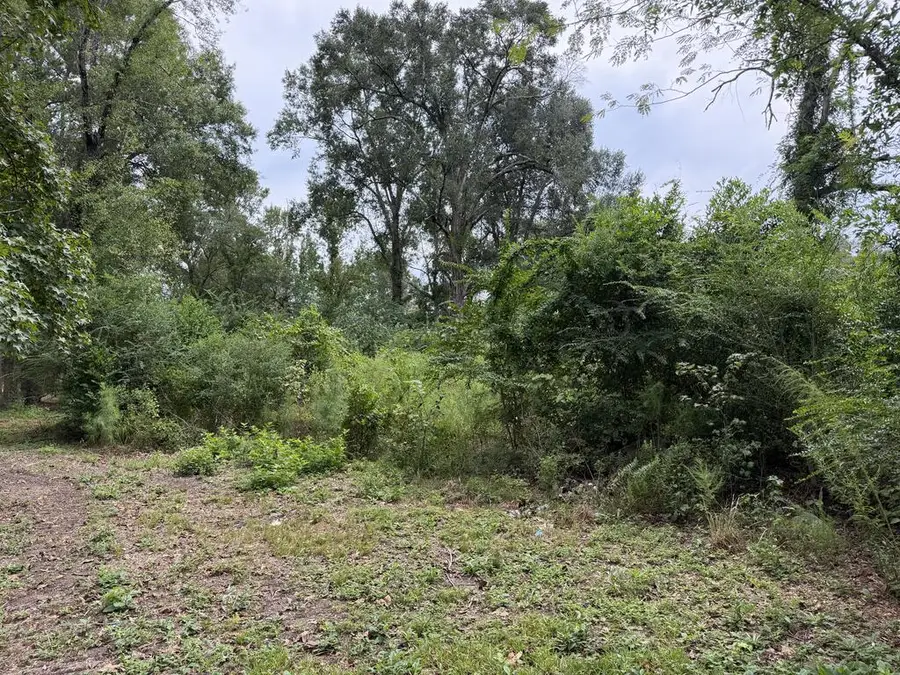 R105276 Hwy 96, Buna, TX 77612 - #2