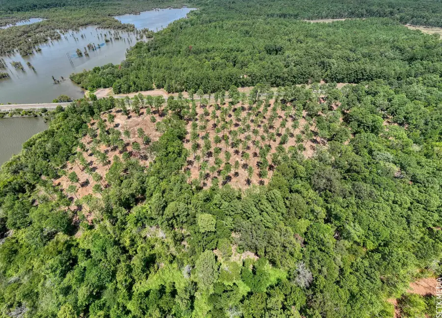 Lot 011 Fm 83, Broaddus, TX 75929 - #3
