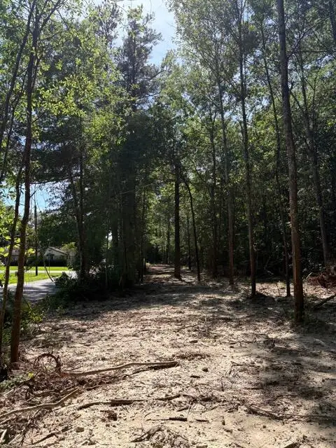 R160509 Broussard Avenue, Lufkin, TX 75901 - #3
