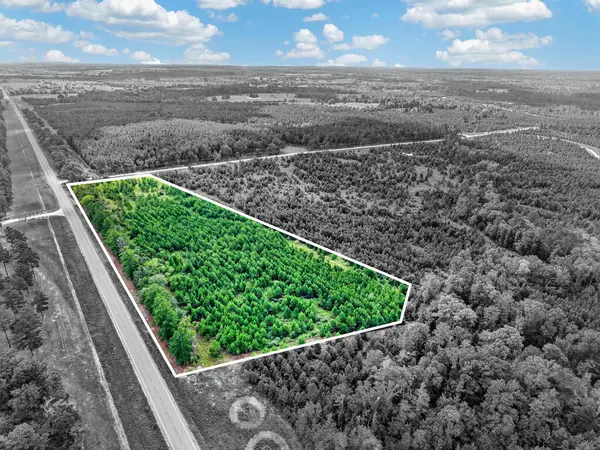 Lot #1 Fm 1280, Lovelady, TX 75851