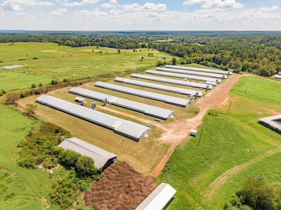 PID # 148086 Cr 2604, Alto, TX 75925 - #3