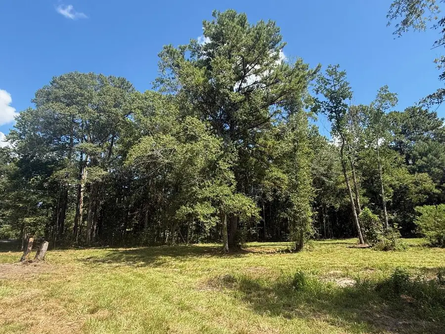 1791 Houston Street, Jasper, TX 75951 - #3