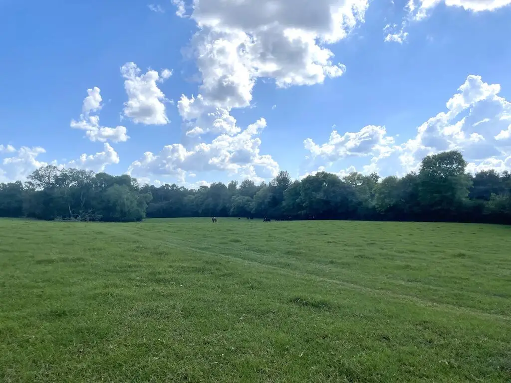 1135 Cr 419, Nacogdoches, TX 75961 - #1