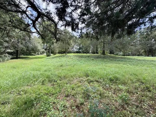 2049 Us Hwy 190 West, Woodville, TX 75979