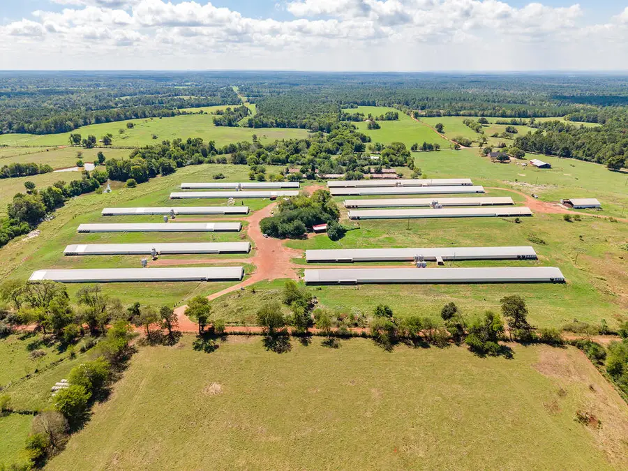 801 Cr 869, Cushing Douglass, TX 75943 - #3
