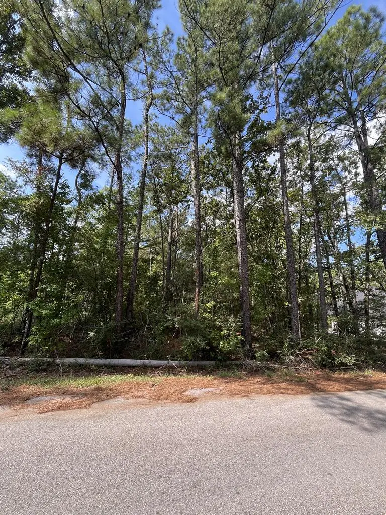 PID #32464 Duffer Drive, Brookeland, TX 75931 - #1