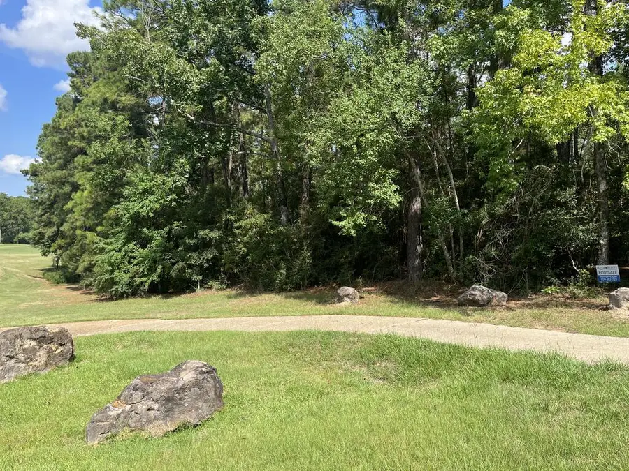 PID #32464 Duffer Drive, Brookeland, TX 75931 - #3