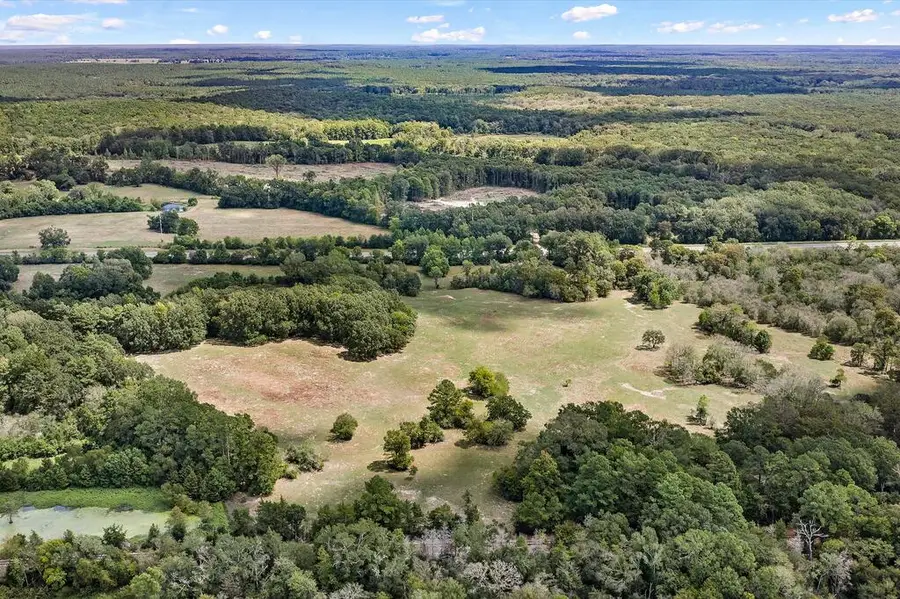 Tract #1 Us Hwy 96 N, Tenaha, TX 75974 - #3