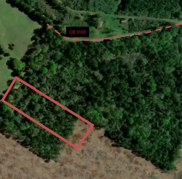 3.50 AC County Road 3103, Call, TX 75933