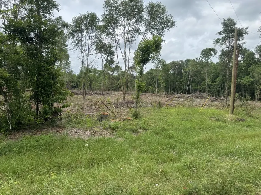 13900 West Highway 103, Pollok, TX 75969 - #3