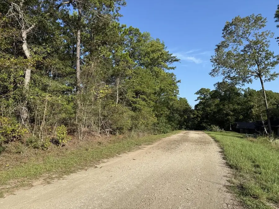 73 Shank Drive, Brookeland, TX 75931 - #2