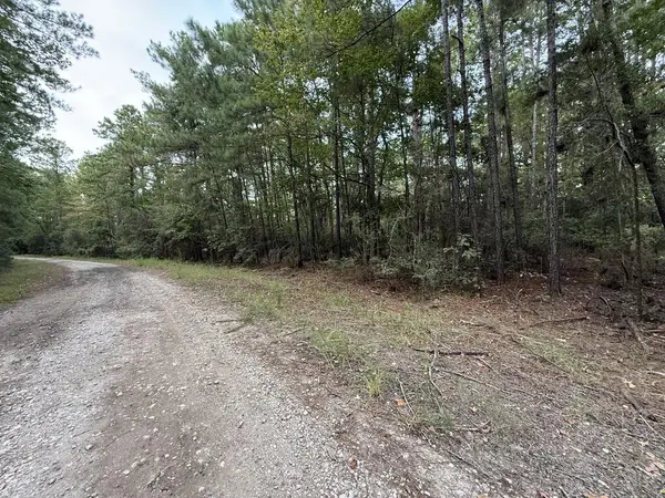 249 Senita Drive, Brookeland, TX 75931