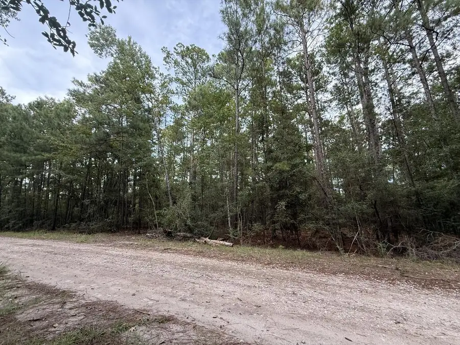 249 Senita Drive, Brookeland, TX 75931 - #2
