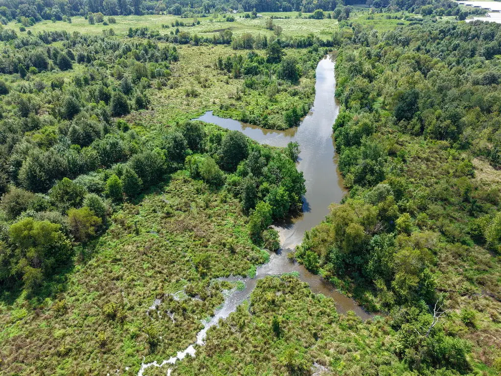 Tract One County Road 765, Douglass, TX 75964 - #1