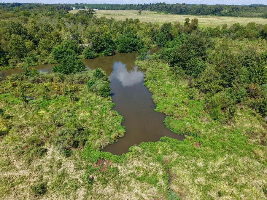 Tract One County Road 765, Douglass, TX 75964 - #3