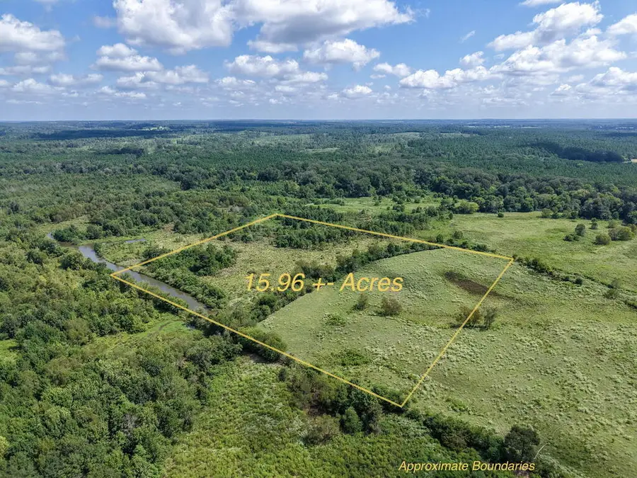 Tract Three County Road 765, Douglass, TX 75964 - #2