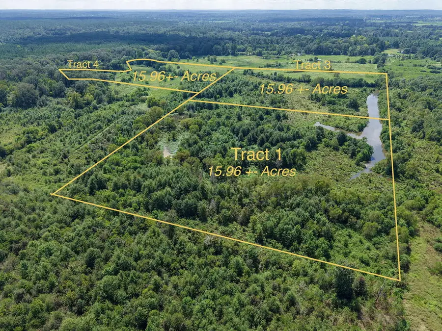 Tract Three County Road 765, Douglass, TX 75964 - #3