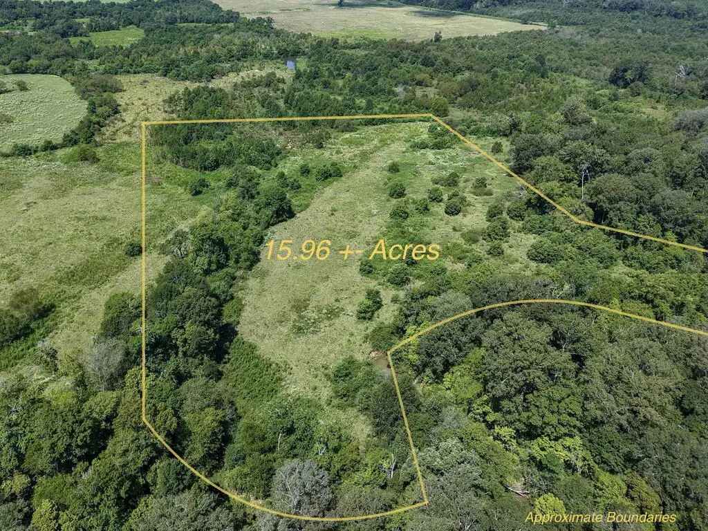 Tract Four County Road 765, Douglass, TX 75964 - #1