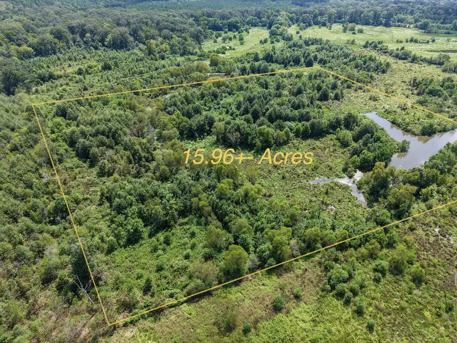 Tract Four County Road 765, Douglass, TX 75964 - #2