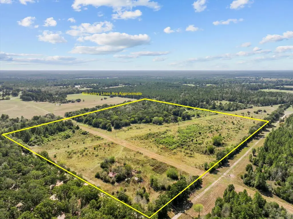 PID 18533 Cr 4035, Lovelady, TX 75851 - #1