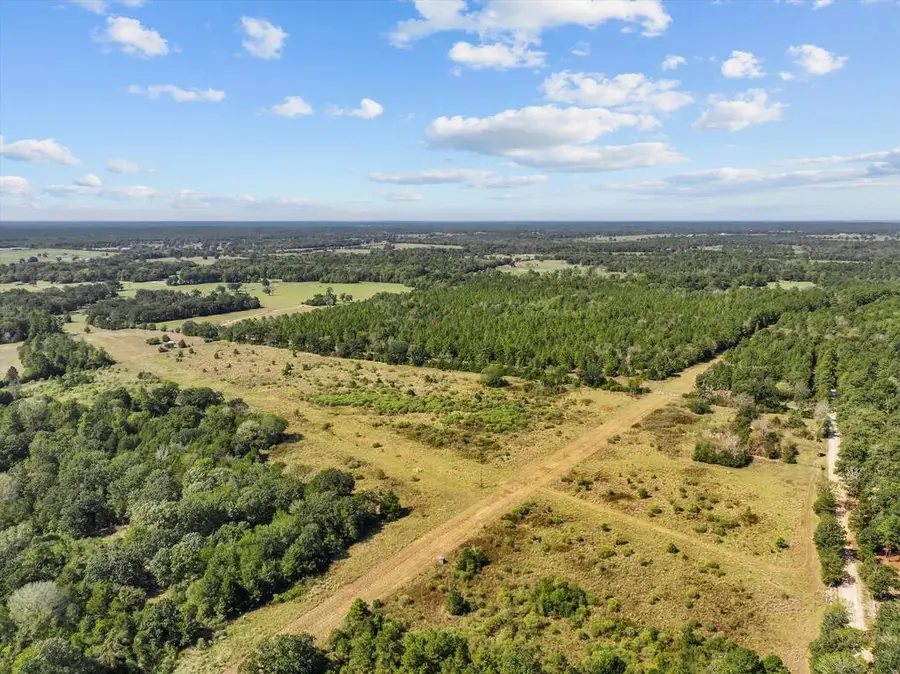 PID 18533 Cr 4035, Lovelady, TX 75851 - #2